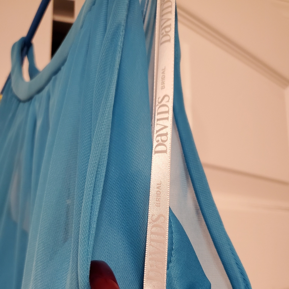 David's bridal (bridesmaid) dress/prom dress
